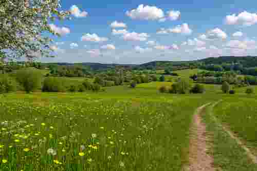 Weite Frühlingslandschaft mit gelb blühender Wiese, sanften Hügeln, grünen Bäumen und blauem Himmel mit weißen Wolken im Bergischen Land. Weite Frühlingslandschaft mit gelb blühender Wiese, sanften Hügeln, grünen Bäumen und blauem Himmel mit weißen Wolken im Bergischen Land.